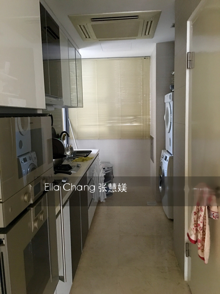 Angullia Park Residences @ Orchard (D10), Apartment #150118182